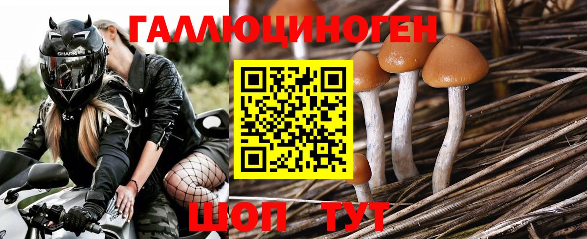 Галлюциногенные грибы ЛСД  Вход с VPN  наркотики  Ревда  Псилоцибиновые грибы GOLDEN TEACHER 